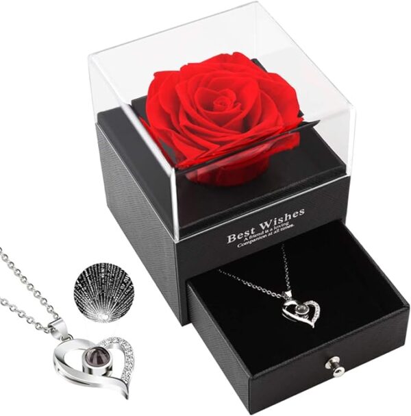 Preserved Real Rose with Heart Necklace